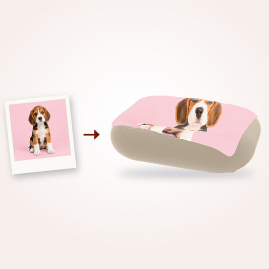 Manta para Cão - da foto à manta